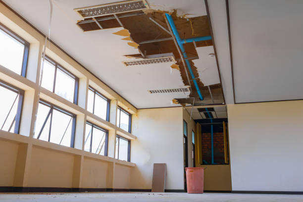 Best Residential water damage restoration  in Lake Wildwood, CA