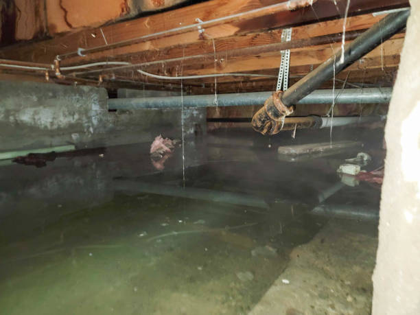 Best Water damage restoration insurance claims  in Lake Wildwood, CA