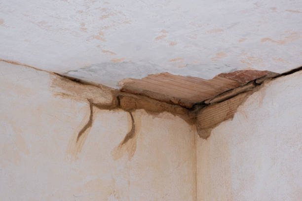Best Flooded house restoration  in Lake Wildwood, CA