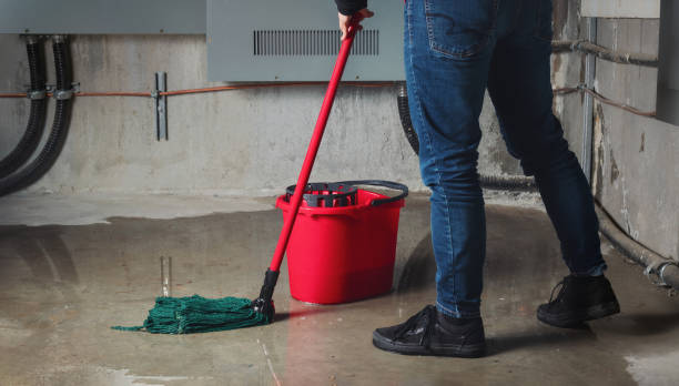 Best 24-hour water damage restoration  in Lake Wildwood, CA