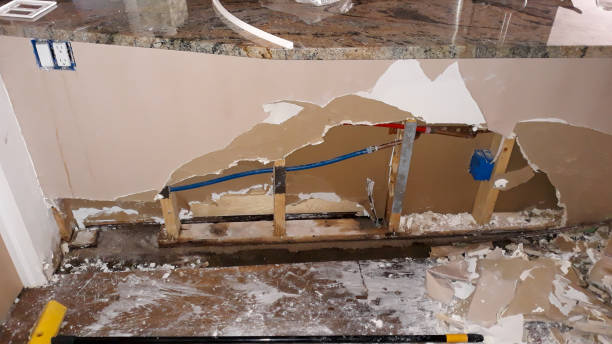 Best Water damage repair service  in Lake Wildwood, CA