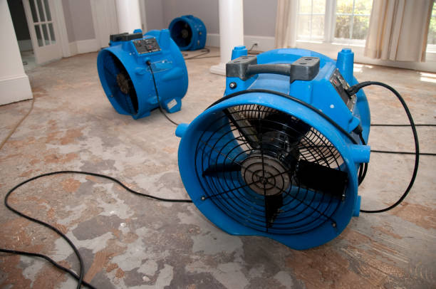 Best Water damage contractors near me  in Lake Wildwood, CA