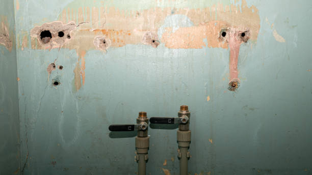 Professional Water damage restoration in Lake Wildwood, CA