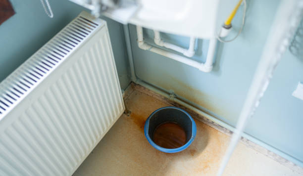 Best Water damage restoration services  in Lake Wildwood, CA